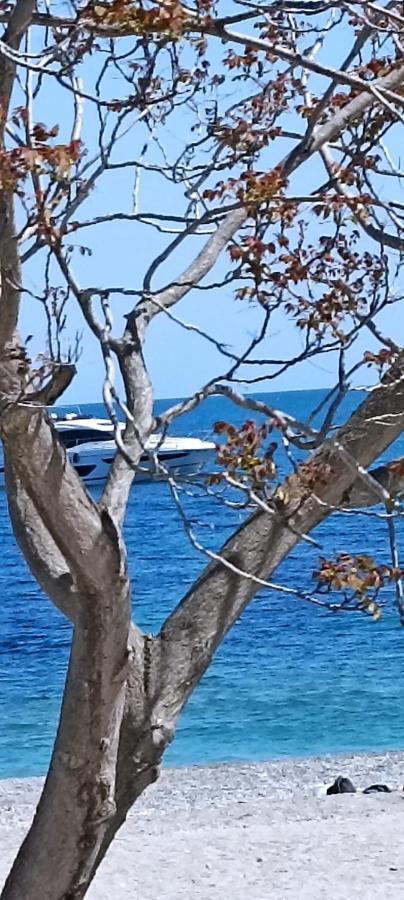 La Cita Ca - Vista Mare Διαμέρισμα Finale Ligure Εξωτερικό φωτογραφία